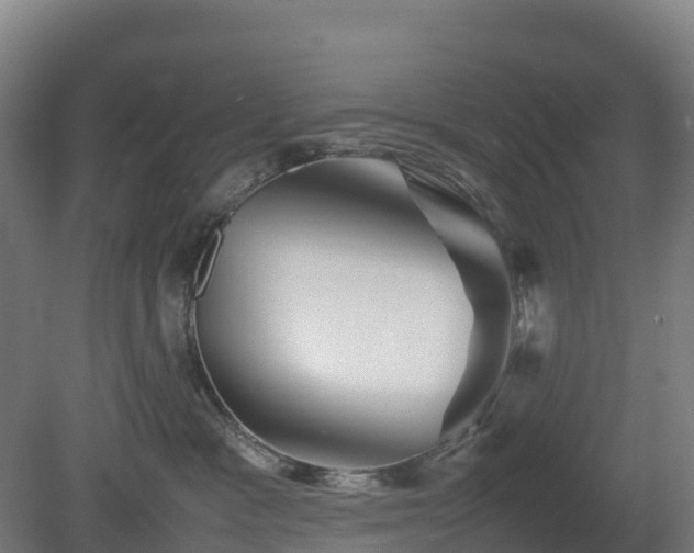 X0000080110333200612151653