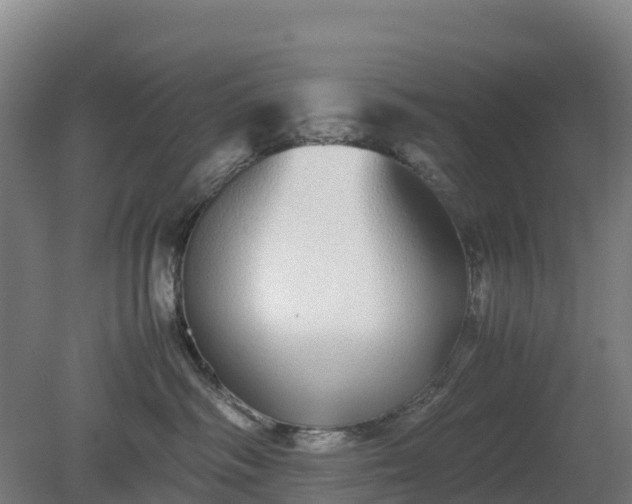 X0000080110334200612151653