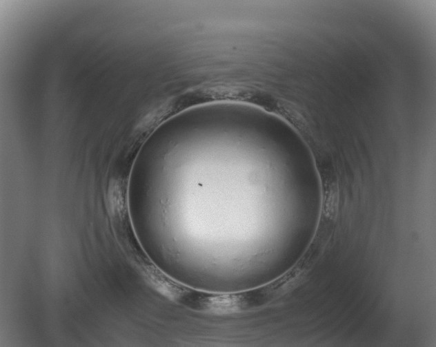 X0000080110335200612151653