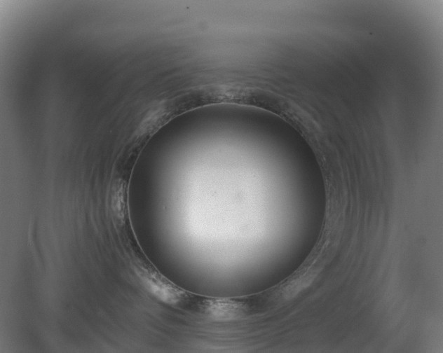 X0000080110336200612151653