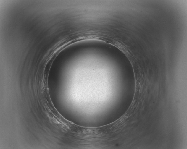 X0000080110338200612151652