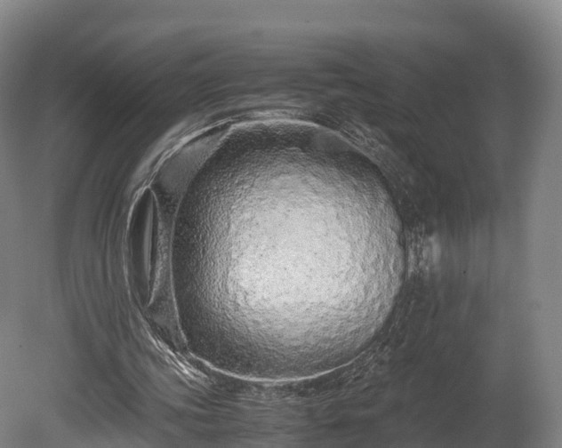 X0000080110339200612151652