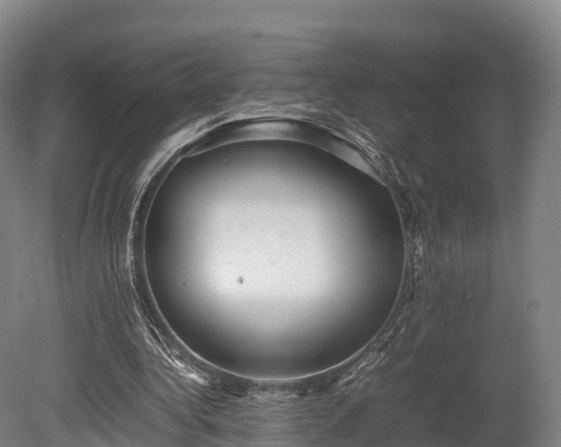 X0000080110340200612151652