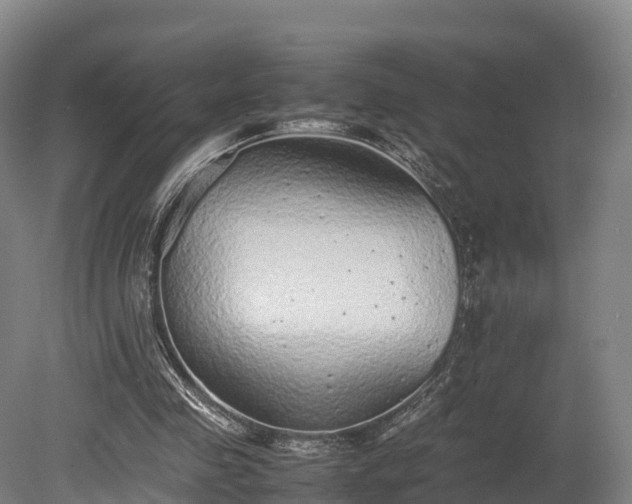 X0000080110341200612151652