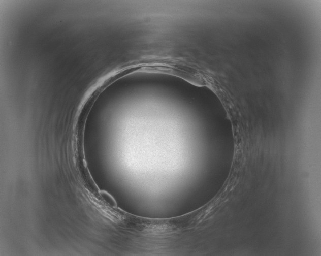 X0000080110342200612151652