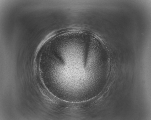 X0000080110343200612151652