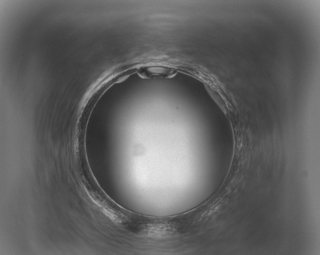 X0000080110344200612151652