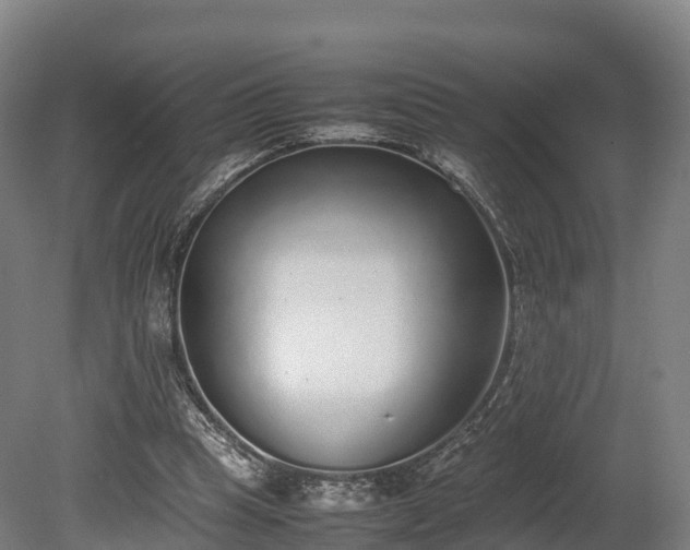 X0000080110345200612151652