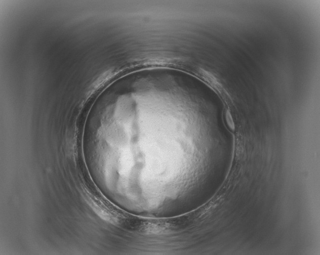 X0000080110346200612151652