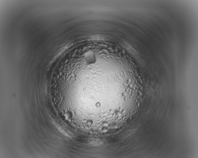 X0000080110347200612151652