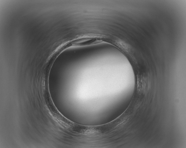 X0000080110348200612151652