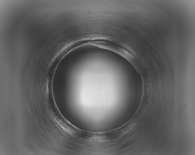X0000080110350200612151652