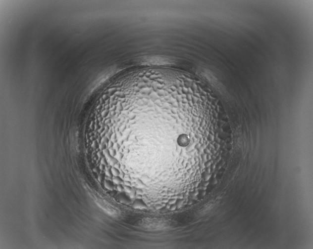 X0000080110351200612151652