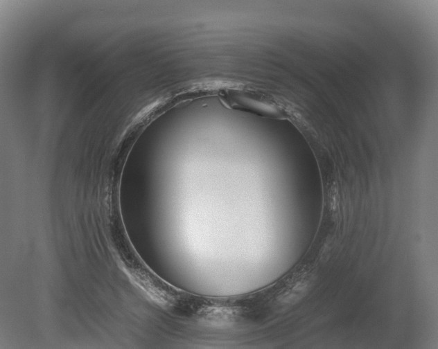 X0000080110352200612151652