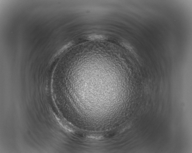 X0000080110353200612151652
