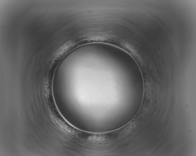 X0000080110354200612151652