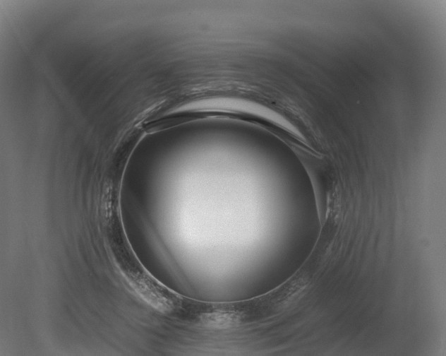 X0000080110356200612151653