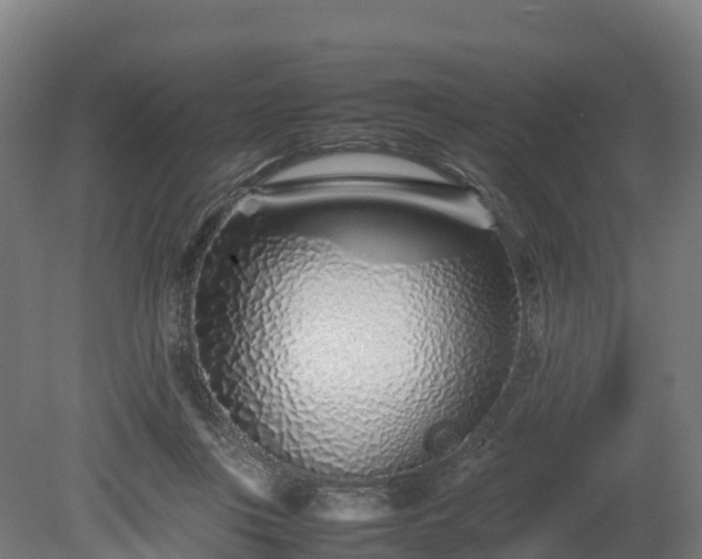 X0000080110359200612151653