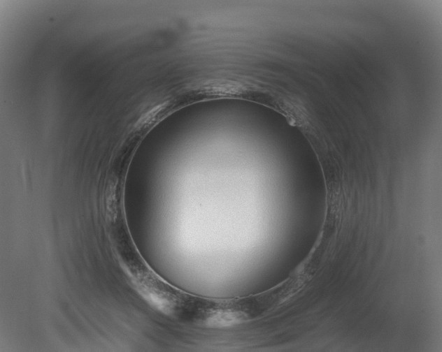 X0000080110360200612151653