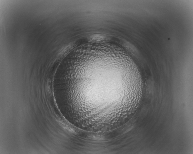 X0000080110361200612151653