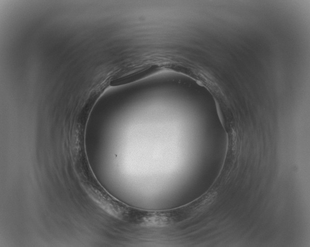 X0000080110362200612151653