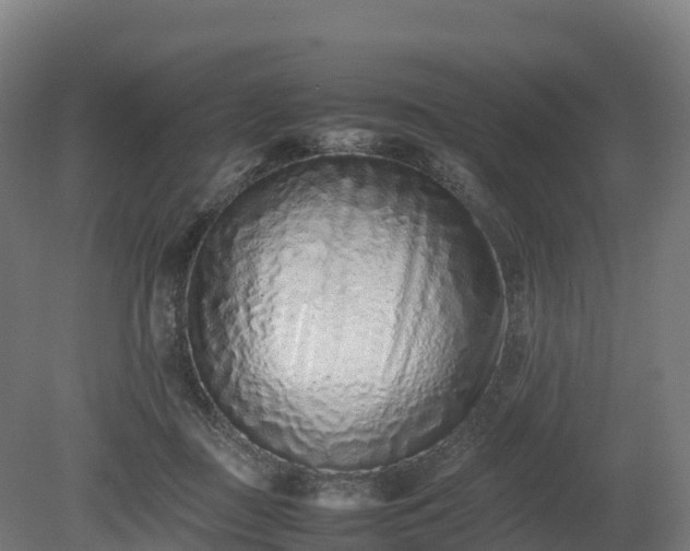 X0000080110363200612151653