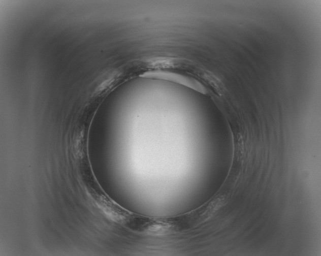 X0000080110364200612151653