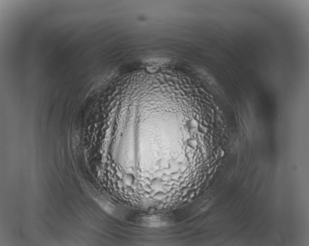 X0000080110365200612151653