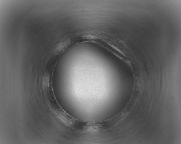 X0000080110368200612151653