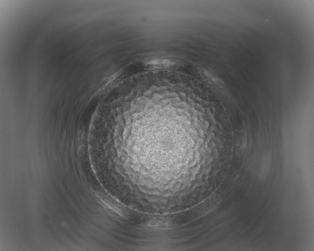 X0000080110369200612151653