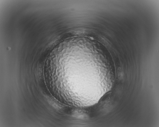 X0000080110372200612151653