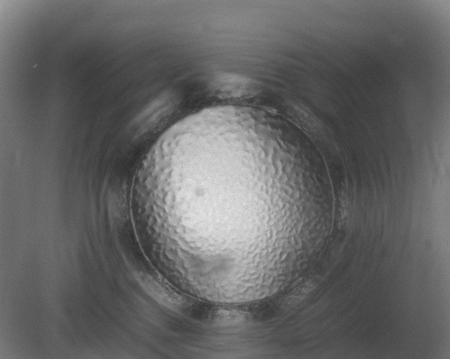 X0000080110376200612151653