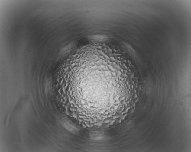 X0000080110377200612151653