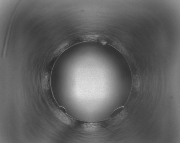 X0000080110378200612151653