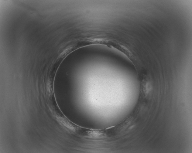 X0000080110380200612151653