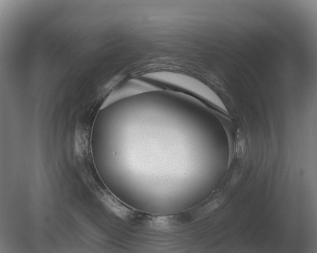 X0000080110382200612151653