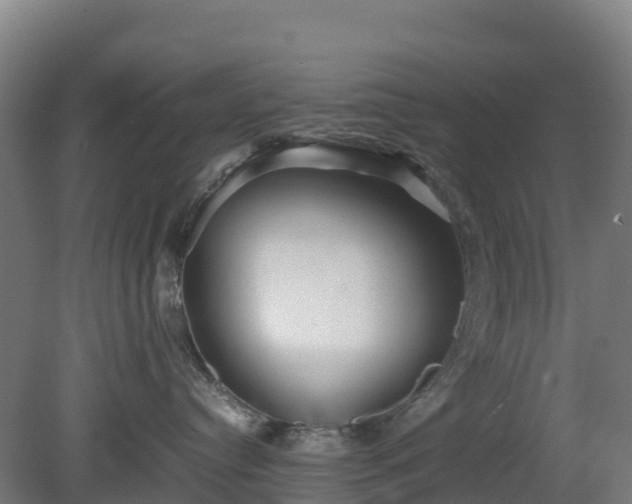 X0000080110384200612151653