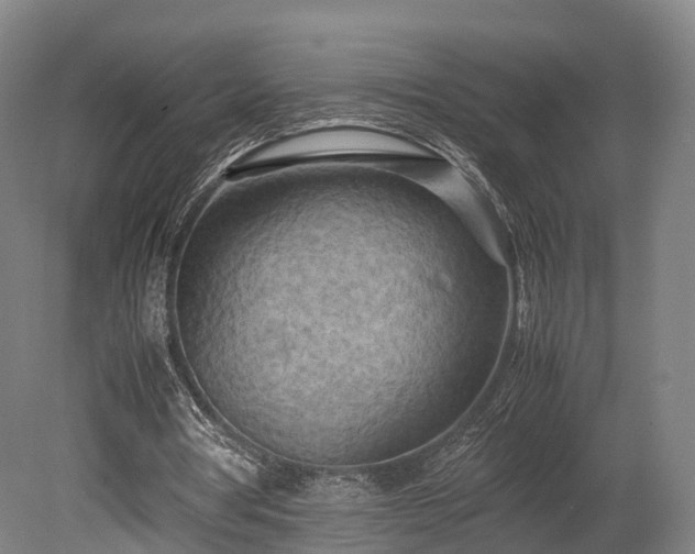 X0000080110386200612151652