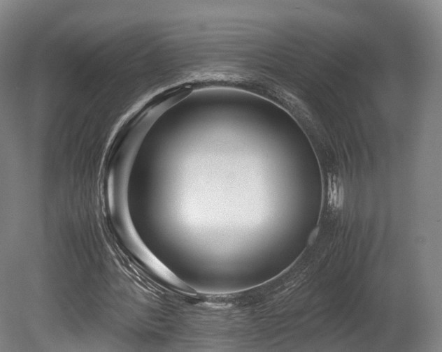 X0000080110388200612151652