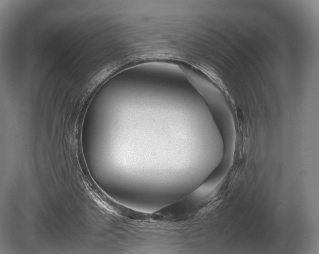 X0000080110389200612151652