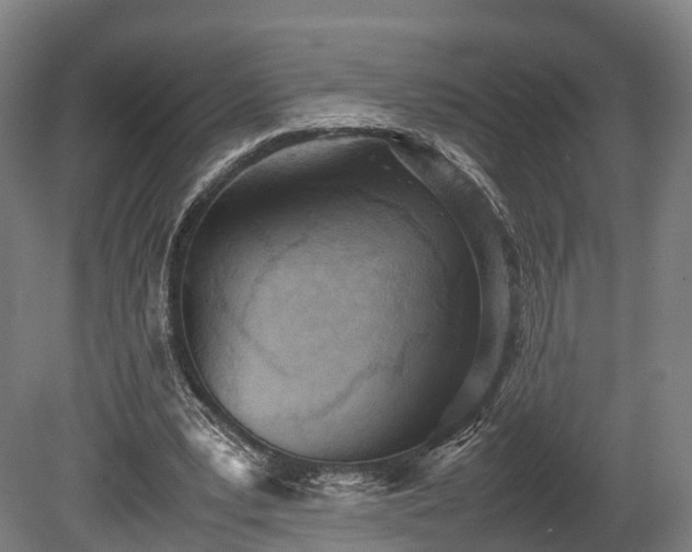 X0000080110391200612151652