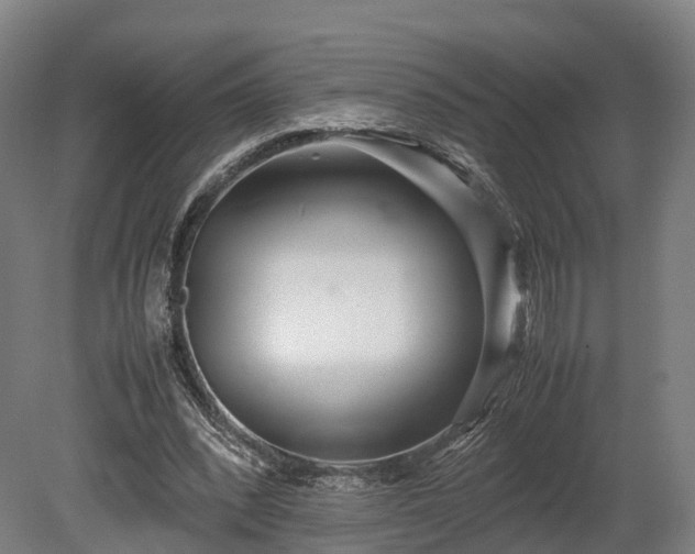 X0000080110392200612151652