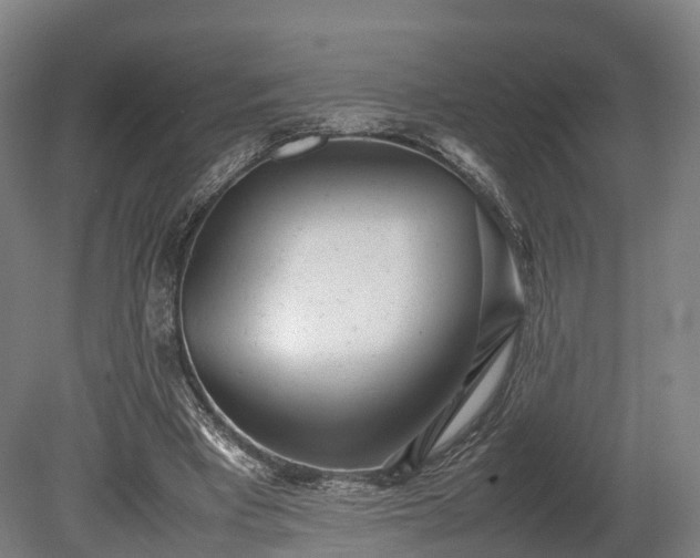 X0000080110393200612151652