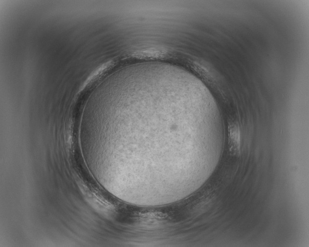 X0000080110396200612151652