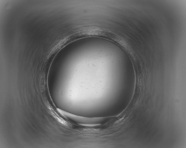 X0000080110397200612151652