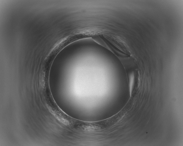 X0000080110400200612151652