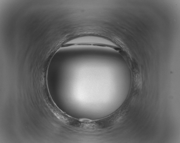 X0000080110401200612151652