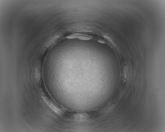 X0000080110402200612151652