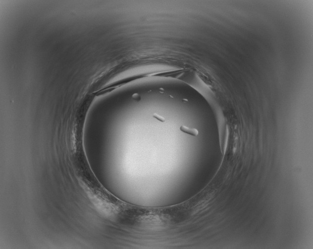 X0000080110404200612151652