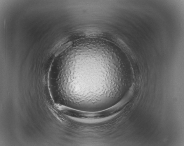 X0000080110405200612151652
